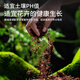 Shangyang universal nutrient soil flower planting soil vegetable planting soil green plant potted organic peat soil 2L