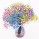 AIMAN Gypsophila Natural Dried Flower Bouquet Ins Internet Celebrity Birthday New House Decorative Ornaments Air-Dried Real Flower Arrangements Home Furnishings Purple + White + Sapphire Blue Gypsophila Without Vase
