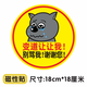 Chuangjingyixuan Internship Car Sticker Magnetic Sticker Bow Magnetic Sticker Internship Sticker Female Car Driver Novice on the Road Let Me Tip the Car Jiao Tailang-Change Lane Let Me/18cm Magnetic c