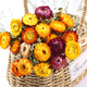 Aiman dried flowers, real flowers, Yunnan straw chrysanthemums, small daisies, natural air-dried bouquets, flower arrangements, internet celebrity decorative ornaments, wheat straw chrysanthemums, colorful bouquet (20 flowers), dry branches