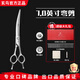 Xuanniao Professional Pet Grooming Scissors Straight Cut Curved Scissors Teeth Scissors Fish Bone Scissors Cat Dog Teddy Bichon Hair Trimming Set Tool 7.0 Inch Curved Scissors Bright (Hand Handle)