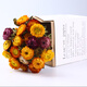 Aiman dried flowers, real flowers, Yunnan straw chrysanthemums, small daisies, natural air-dried bouquets, flower arrangements, internet celebrity decorative ornaments, wheat straw chrysanthemums, colorful bouquet (20 flowers), dry branches