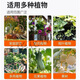 Yuntian Diammonium Phosphate Agricultural Fertilizer Phosphate Fertilizer Compound Fertilizer Vegetable Flowers and Fruit Trees General Dian Diammonium Phosphate (High Concentration 40Jin Jin is equal to 0.5kg