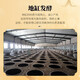 万口福53°黄金三号 清香型白酒53度 纯粮地缸固态法工艺酿造特产酒整箱 53度 500mL 1瓶