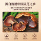 Li Liangji Breaking Wall Ganoderma lucidum spore pulver spore öl weichkapseln regulieren immun gegen mittlere und ältere nahrungsergänzungsmittel für Älteste [zwei Kisten] 1g*30 Beutel (110 g für Hand) - 40 Tage