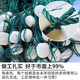 Guangtai 1-finger, 2-finger, 3-finger, 4-finger drag net, drag net, drag net, clear pond fishing net, partition net, fish net, 15 strands, mesh, 5 fingers, 3 meters high, 30 meters long, unfolded height is 2.1 meters