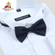 Scarecrow printemps chemise à manches longues pour hommes Swallow Groom Wedding Robe de soirée