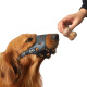 Hanhan Paradise pet dog muzzle for small, medium and large dogs, anti-dog bite, anti-barking, anti-eating safety muzzle, mask supplies, leather S