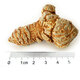Dianyu Mingcao Wenshan Sanqi 20-head spring Sanqi Selected Goods Special Grade Tian Qitou One Jin [Jin equals 0.5 kg] 500g without cuts 24 pieces