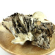Baishanzu Maitake Maitake 125g Qingyuan Specialty Dried Edible Fungi