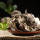 Baishanzu Maitake Maitake 125g Qingyuan Specialty Dried Edible Fungi