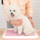 IRIS dog toilet anti-tear and bite flat open type with grid pet supplies TFT65011M pink