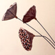 Youyi Dried Flower Extra Large Full Seed Metal Flower Pole Dried Lotus Lotus Dried Flower Decorates Living Room Floor Single Extra Large Seed Lotus Pole Contains Flower Pole Length 55cm Price of 4 Pieces