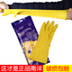 Packing of 10 pairs of Nanyang latex gloves, thickened acid and alkali resistant rubber gloves, Tianjiao anti-corrosion household gloves, dishwashing gloves, industrial beef tendon gloves, Packing of 10 pairs of Nanyang latex M (medium size)