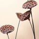 Youyi Dried Flower Extra Large Full Seed Metal Flower Pole Dried Lotus Lotus Dried Flower Decorates Living Room Floor Single Extra Large Seed Lotus Pole Contains Flower Pole Length 55cm Price of 4 Pieces