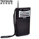 Tecsun R-218 radio portable elderly TV sound mini campus broadcast semiconductor pocket mini radio black