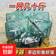 Fishing net, shrimp pot, fishing pot, artifact to catch eel cage, square shrimp pot, shrimp net, shrimp pot, umbrella cage, fish pot, net cage, fishing pot, square 8 holes-70cm, free 10 packs of bait + accessories