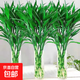 Lucky Bamboo, hydroponic plants shipped from Guangzhou, good for lazy people, a gift for Buddha in the office, Chinese Valentine's Day, Lucky Bamboo 60cm, 10 pieces