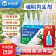 Plant Regeneration Agent Resurrection Liquid Flowers and Green Plants Potted Plants Universal Light Rod Yellowing Money Tree Succulent Growth Nutrient Solution Buy One Get One Free Limited Time Event 2 boxes of 12 pieces in total