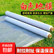 New material white mulch film weeding insulation thickened greenhouse silver black engineering agricultural planting orchard plastic film 1.5Mx730M white mulch film 10.5Jin Jin equals 0.5kg 1S