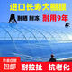 Greenhouse plastic film, non-drip film, agricultural greenhouse film, PO film, vegetable planting, anti-fog, high light transmittance, anti-aging, longevity film, blue film 10S imported longevity film, thickened, 2m wide, how many meters long, take a few pieces, send the whole picture