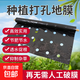 Perforated black mulch film for weeding, insulation, moisturizing and anti-aging medicinal materials, onions, peppers, peppers, special perforated mulch film, 1 wire, 1.5 meters wide, 280 meters wide, 20*20, 6 holes