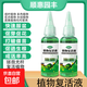Plant Rejuvenation Liquid Flower Green Plant Rose Money Tree Special Concentrated Nutrient Solution Yellowing and Falling Leaves Rapid Rooting Liquid Shunhui Yuanfeng Resurrection Liquid 50ml 1 bottle + dripper