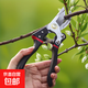 Monthly sales exceed 10,000. Stainless steel pruning shears, steel tree shears, branch pruners, flower branch scissors, dedicated for home gardening. Seiko boutique - 10 times more durable + Black Warrior style.