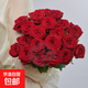 Rose Flower Shop's Same Style Gansu Rose Northwest Flower Soilless Cultivation Easy to Flowering Period Long Chinese Valentine's Day Gift Naomi Single-headed Rose 20 Branches
