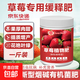 Strawberry special fertilizer slow-release fertilizer organic fertilizer balcony potted strawberry fertilizer to sweeten, improve quality, increase production and promote growth Special strawberry fertilizer 1Jin Jin equals 0.5 kg *1 can