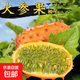 Authentic Fire Ginseng Fruit Seeds, African Honeydew Melon Seeds, Horned Melon Seeds, Mars Fruit Seeds, Sea Cucumber Fruit Special Fruit Seeds, Fire Ginseng Fruit Seeds/pack of about 25 capsules, 1 pack