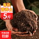 Mengmei Nährboden für den Blumenanbau, spezielle universelle Topfpflanzerde, Blumenerdedünger, Haushaltsgemüse-Gärboden, Nährboden 5Jin Jin entspricht 0,5 kg