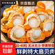 New arrival, extra large scallop meat, pure wild-caught fresh scallops, frozen seafood, kept fresh with ice, scallop meat 400g*3