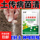Soil-borne disease bactericide, agricultural soil fungicide, anti-repeat root rot, dead seedlings and root rot, 5 packs 500g*5