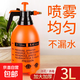Household watering kettle for watering flowers, kettle for plants and flowers, special watering kettle, air pressure car wash sprayer, green plant watering kettle, 3L fine spray
