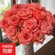 AB-grade high-quality perfume lily flowers, hydroponic flower arrangement, home life, water-raised fresh-cut roses from Yunnan, straight hair, 10 roses of any choice, no color variety specified