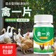 Chicken, duck, and goose poultry tablet poultry chicken fever chicken medicine chicken, duck and goose diarrhea cough asthma poultry tablet 100 tablets/bottle 10 bottles