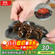 Zun Pot Tea Pet Ornaments Purple Clay Color-Changing Crabs from All Directions Can Bring Good Luck Color-Changing Crabs Lotus Leaf Green