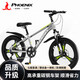 Phoenix Children's Mountain Bike 5-16 Years Old Girls and Boys Shock Absorbing Variable Speed 22 Inch Gray Suitable for Height 135-160cm