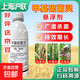 50% thiophanate methyl fungicide for rice blast, fruit trees and vegetables, anthracnose, black spot fungicide, 1000g/12 bottles