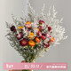 AIMAN dried flowers, preserved flowers, decorative ornaments, cotton real flowers, small fresh eucalyptus leaves, daisies, pine cones, living room and bedroom flower arrangements, lover's grass + small daisy bouquet, with glass vase