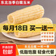 2025 Northeastern White Waxy Corn Vacuum Packed New Arrival Freshly Picked Farm-Grown Fresh Sweet Waxy Corn on the Cob Coarse Grain White Sweet Waxy Corn 2 Sticks 150-200g