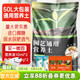 Jinyate nutrient soil, universal soil for raising flowers, potted soil and vegetables, special soil plant, succulent coconut brick soil 50L