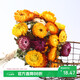 Aiman dried flowers, real flowers, Yunnan straw chrysanthemums, small daisies, natural air-dried bouquets, flower arrangements, internet celebrity decorative ornaments, wheat straw chrysanthemums, colorful bouquet (20 flowers), dry branches