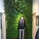 Doutu Gardening green plant wall simulated plant turf wall decoration indoor background flower wall green wall hanging plastic fake lawn door head broad-leaf grass
