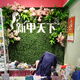 Doutu Gardening green plant wall simulated plant turf wall decoration indoor background flower wall green wall hanging plastic fake lawn door head broad-leaf grass