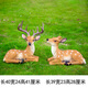 Hongri Guanghui courtyard outdoor garden forest animal decorations resin fiberglass simulated sika deer sculpture ornaments a pair of small lying deer
