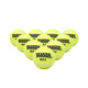 Teloon Tennis Training Ball for Beginners and Advanced Tennis Balls 603 Bags