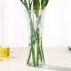 Yunwuya glass vase modern simple creative flower arrangement home decoration dried flower vase floral art large glass