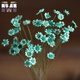 Brazilian imported small star flowers, small dried flowers, small daisies, dried flower bouquets, real flowers, air-dried natural decoration, literary living room home furnishings, birthday gifts, light blue bouquet of 50 pieces